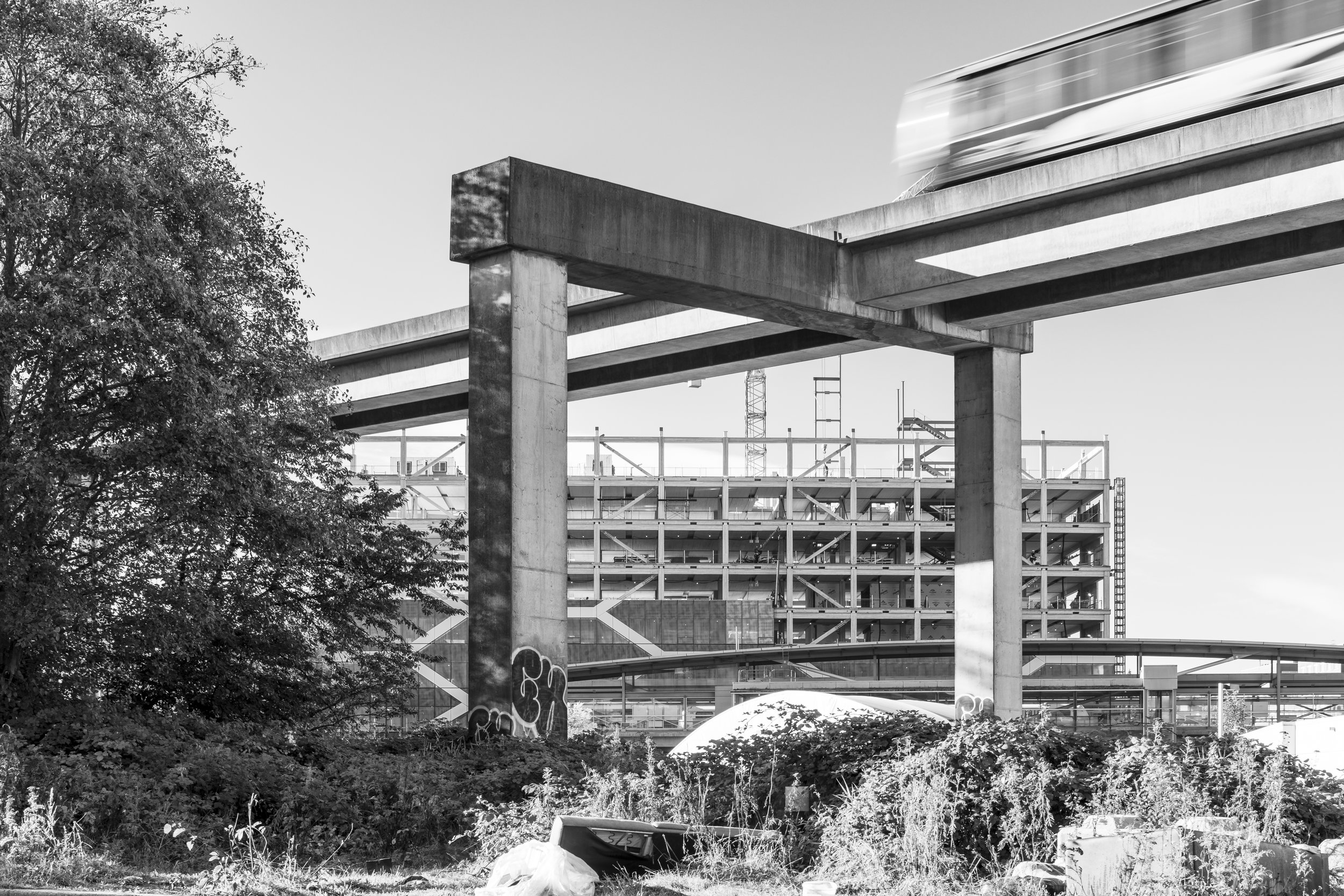  lead HIVE9V0A4138SK.jpg