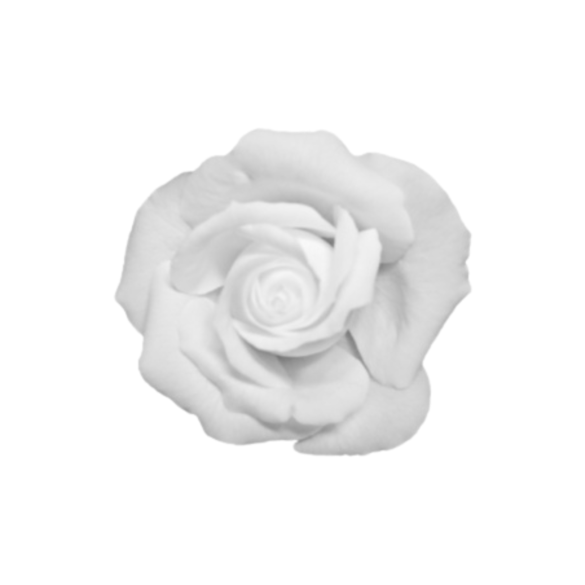 A black and white close-up of a single rose with detailed petals.