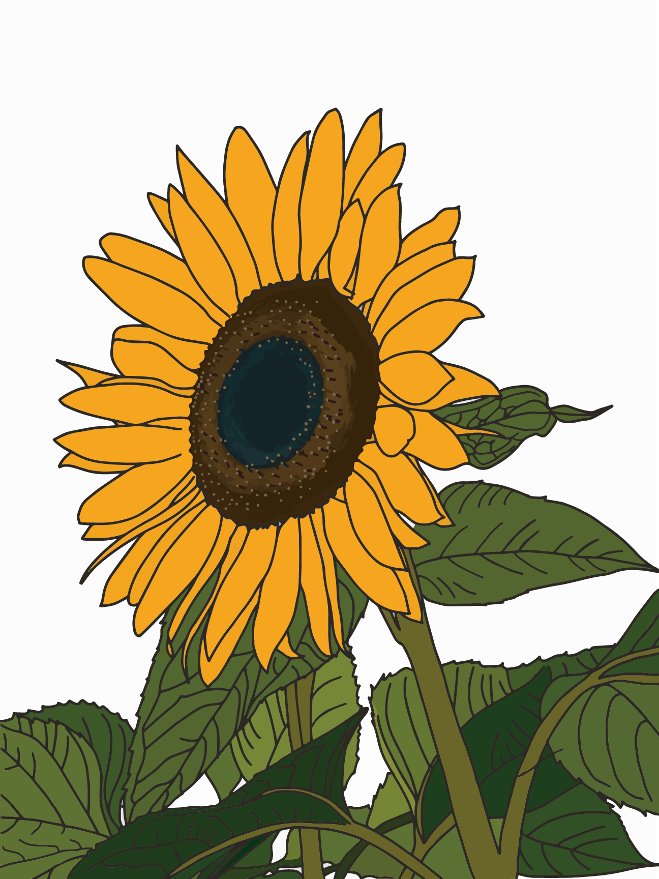 Sunflower.png