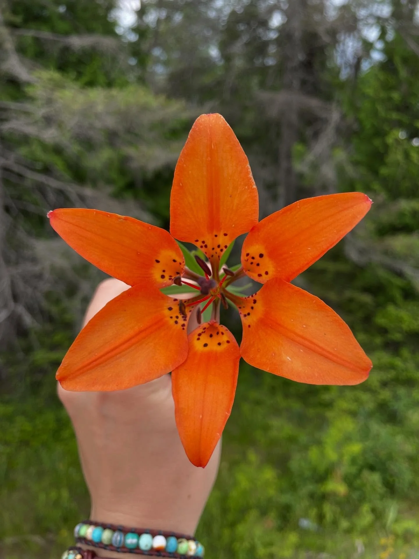 Names are destiny and fate intertwined.

I choose to return to my birth name, Chelsea.
Chelsea, an old English name, means &ldquo;by the sea&rdquo; 

Nasra, of Hebrew and Arabic origin, means &ldquo;helper&rdquo; and &ldquo;victory song of the people