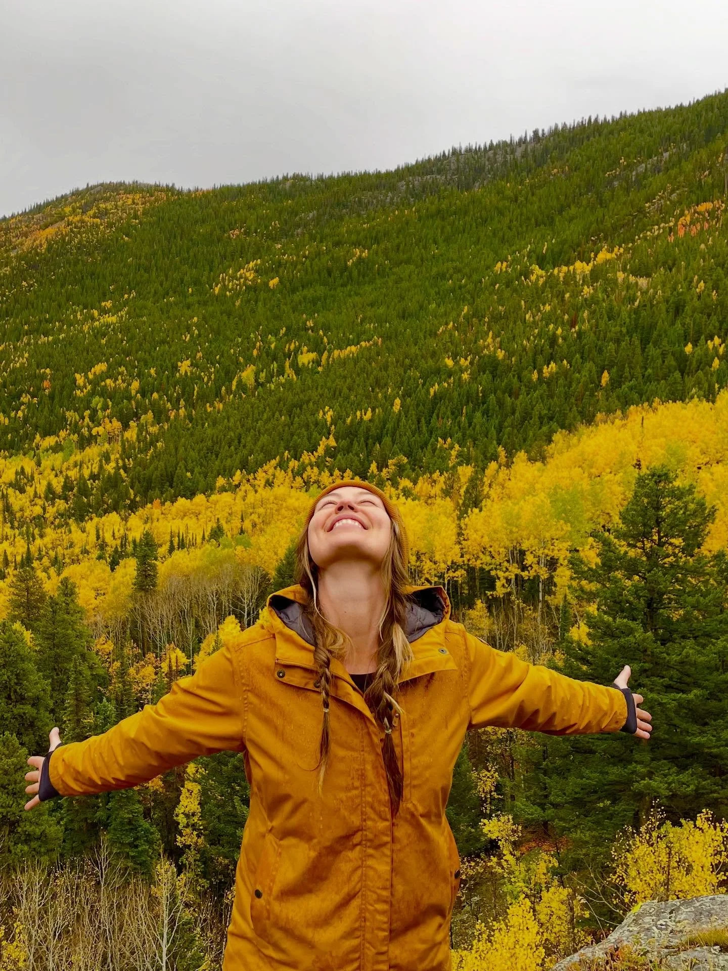 Ancient Light 

These are quaking Aspens in the valley where I live in Colorado. 

Aspens are ancient. In fact, one of the oldest aspen groves in the world is the Pando clonal colony in Utah. The root system is massive and over 80,000 years old- maki