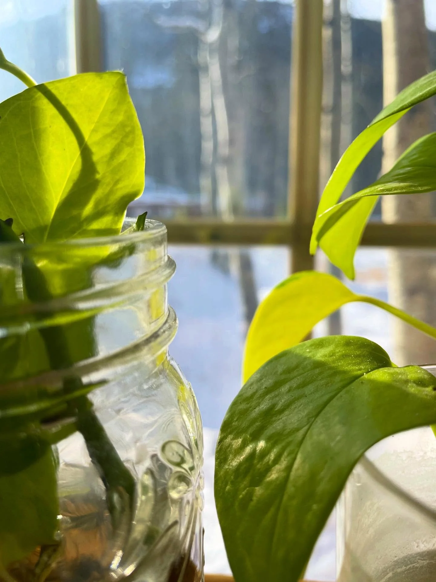 What is noticeably &ldquo;not bothering&rdquo; you today? 

You know&hellip;
The moment when you realize the activation and thoughts around person/place/or thing has let go. 

The feeling is authentically neutral. You trusted and integrated. You hono