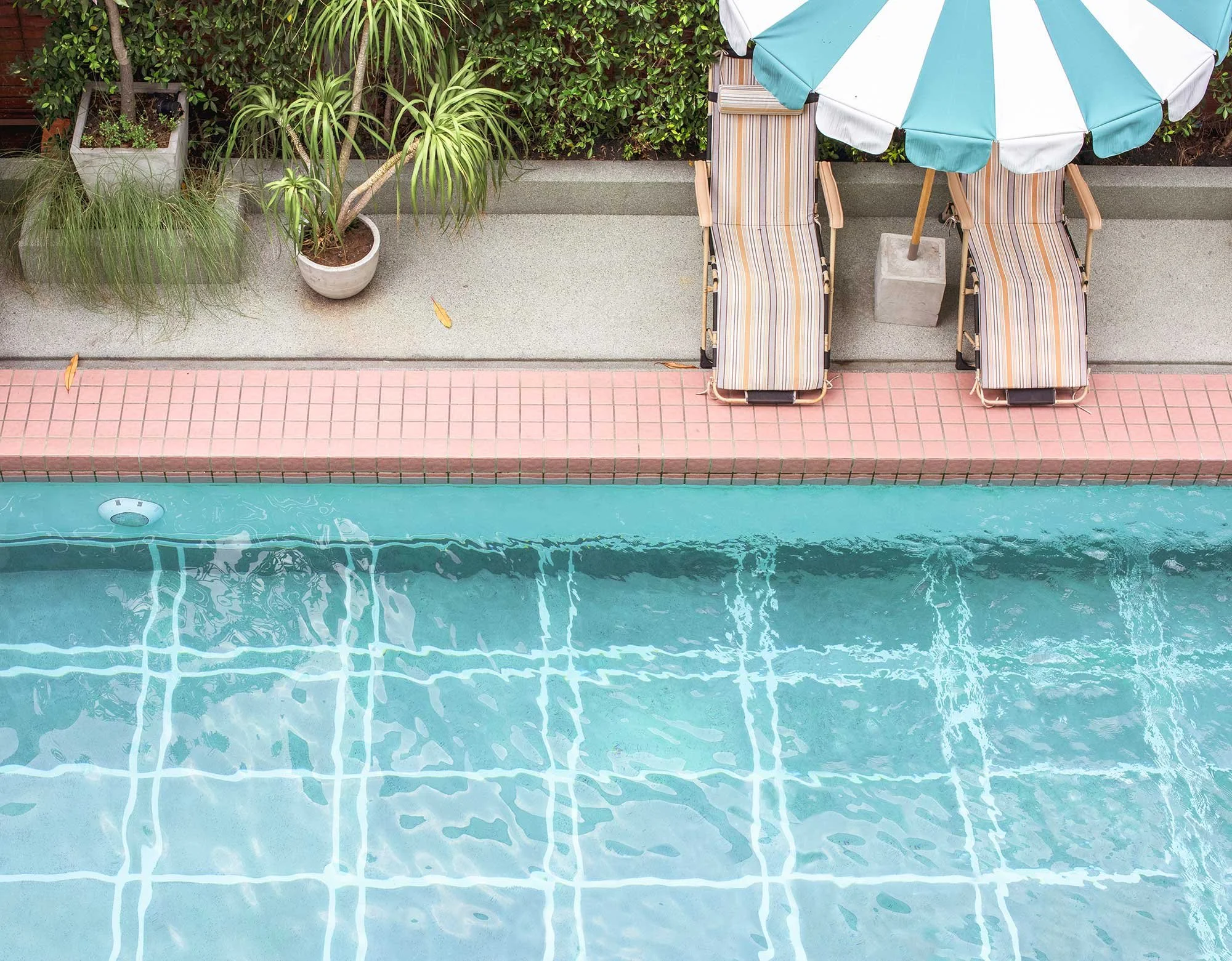 View of a swimming pool with two striped lounge chairs under a blue and white umbrella, surrounded by potted plants and greenery.