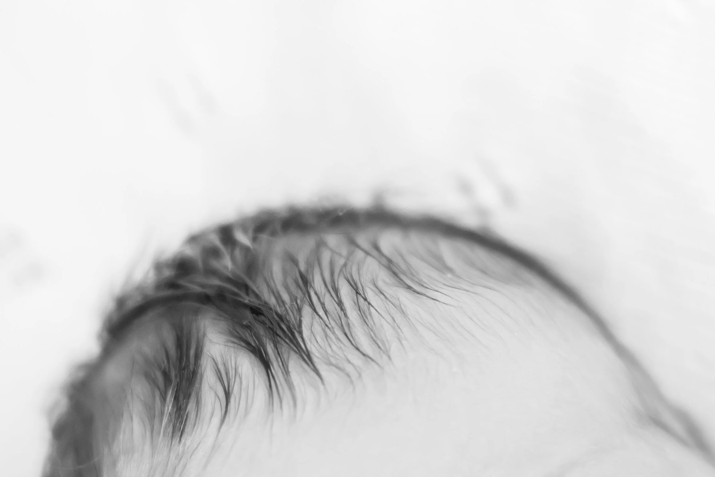 Close-up of a human eye with detailed eyelashes and iris, in black and white.