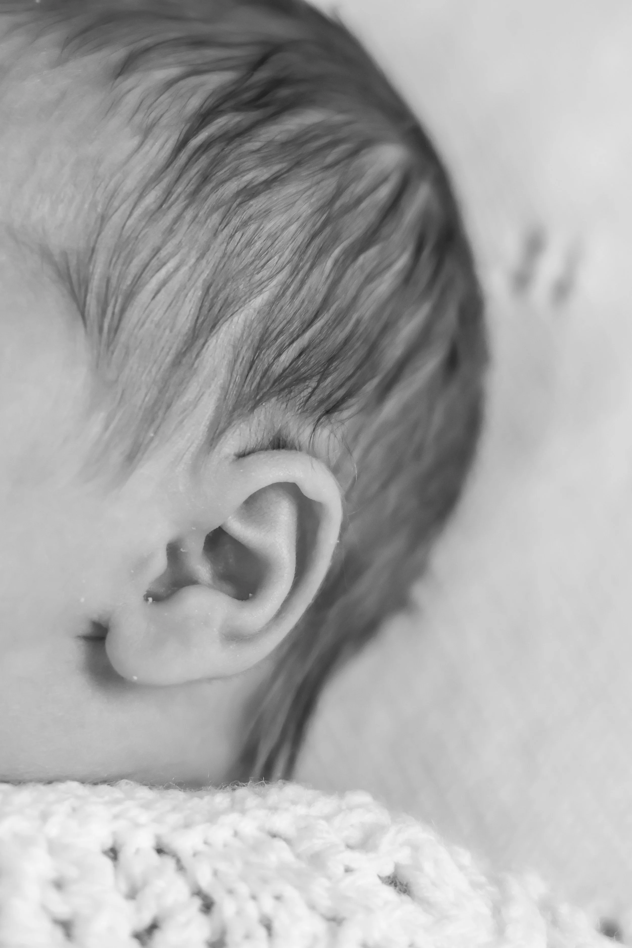 Close-up of a baby's ear with soft hair, black and white photograph