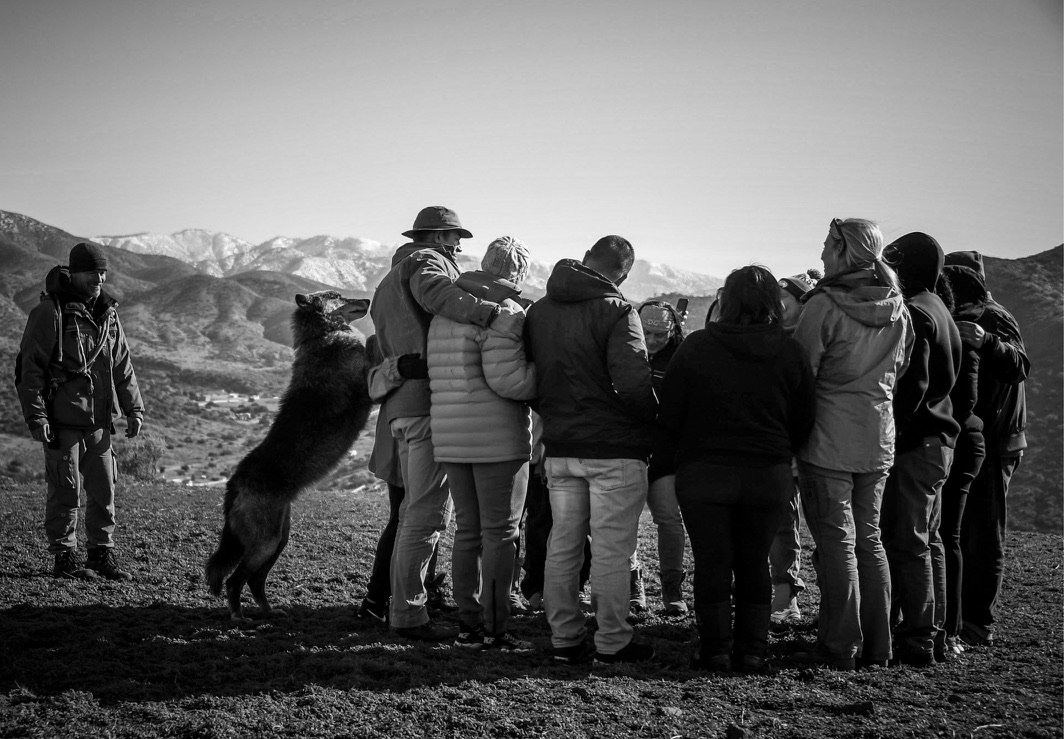 A group of people standing together, some embracing, in a mountainous area with a dog jumping up at them. The scene is in black and white.