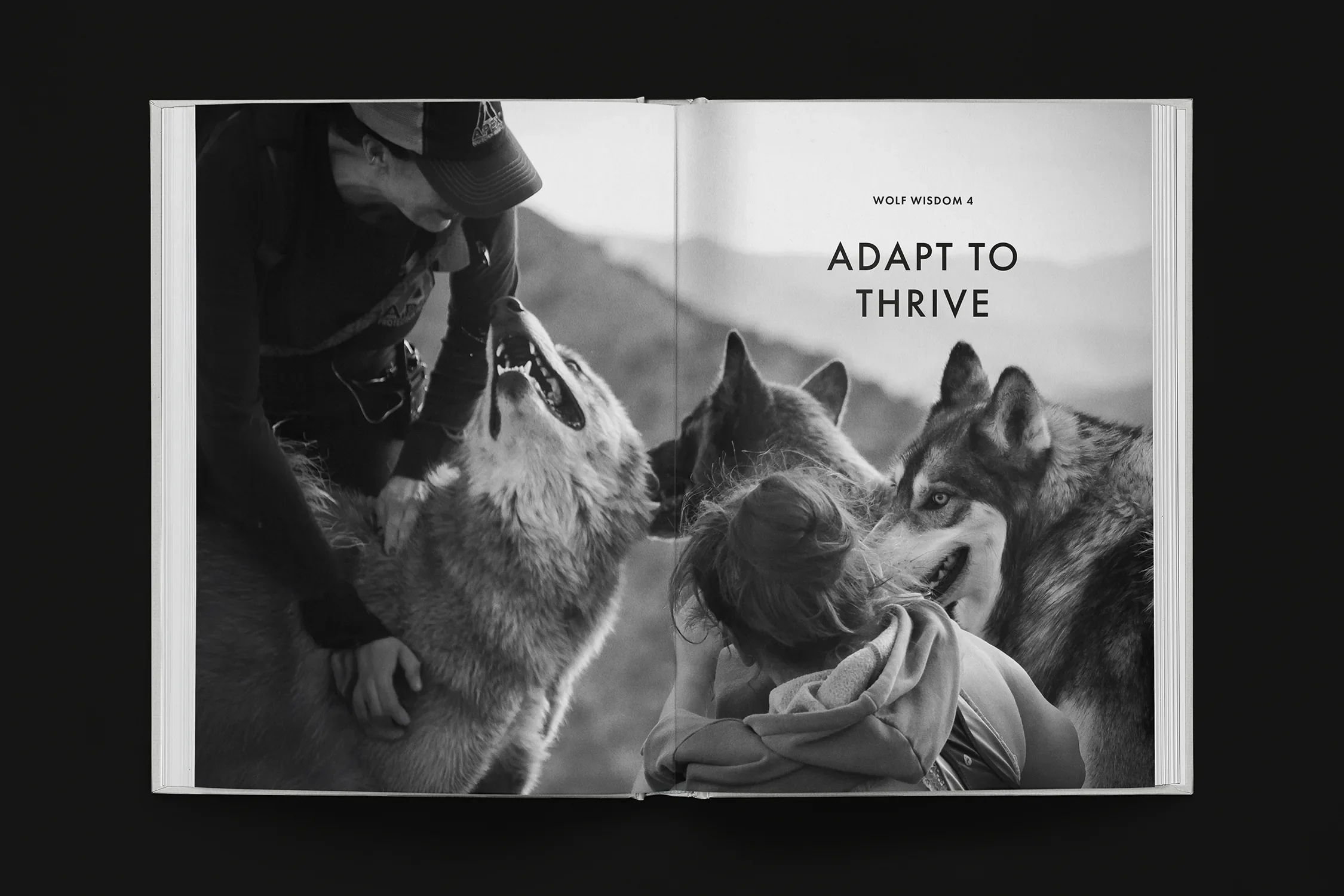 wolfwisdom4.webp