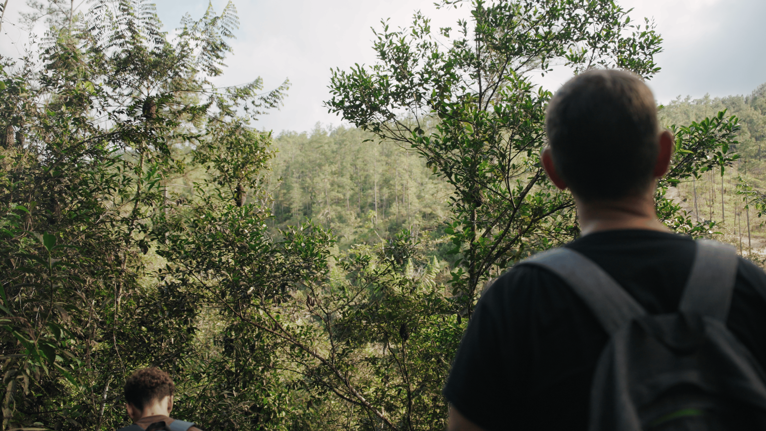 Two children with backpacks exploring a dense, green forest with a view of treetops and hills in the background.