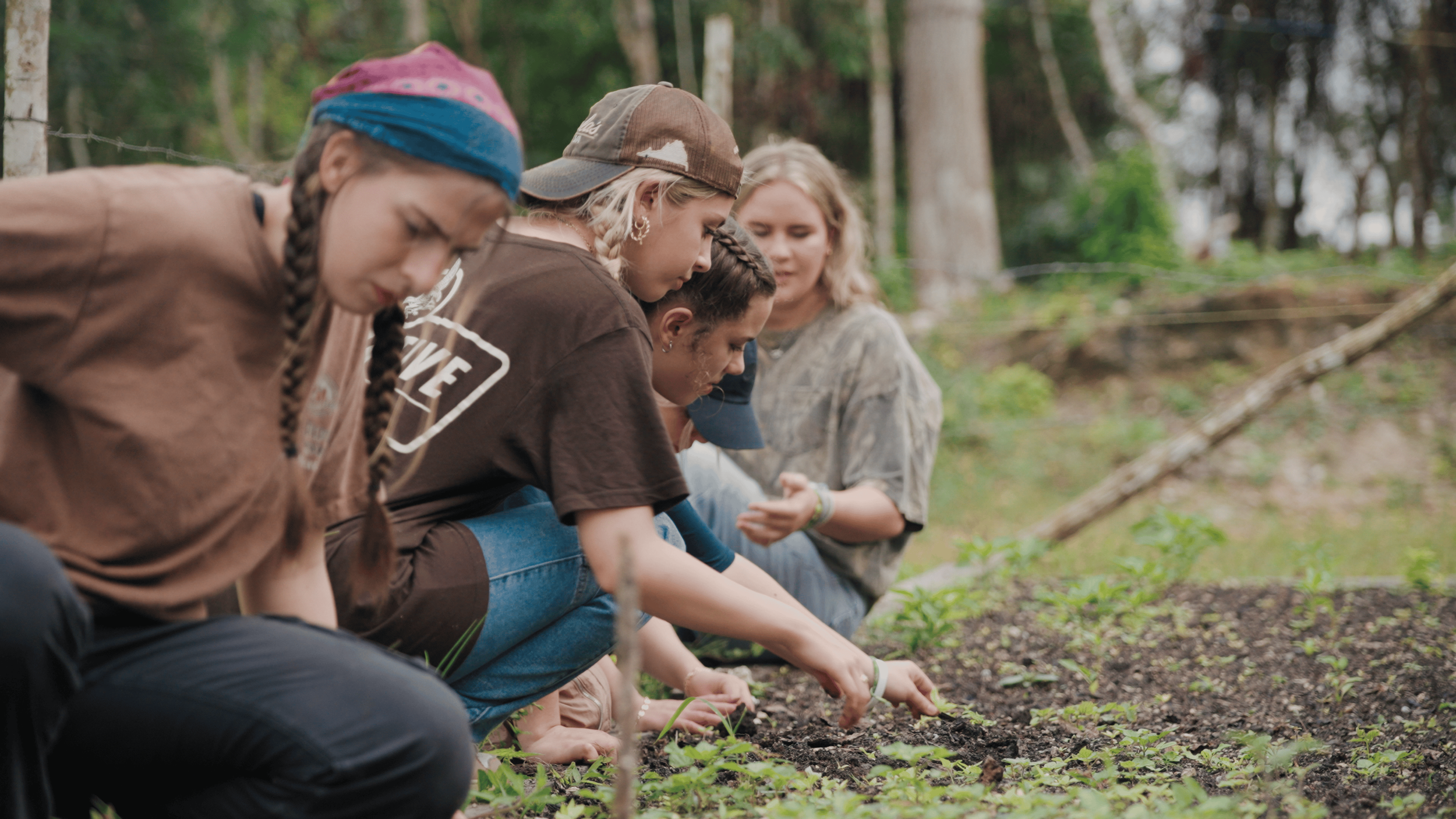 Group of young people planting or tending to crops or plants in a garden or farm.