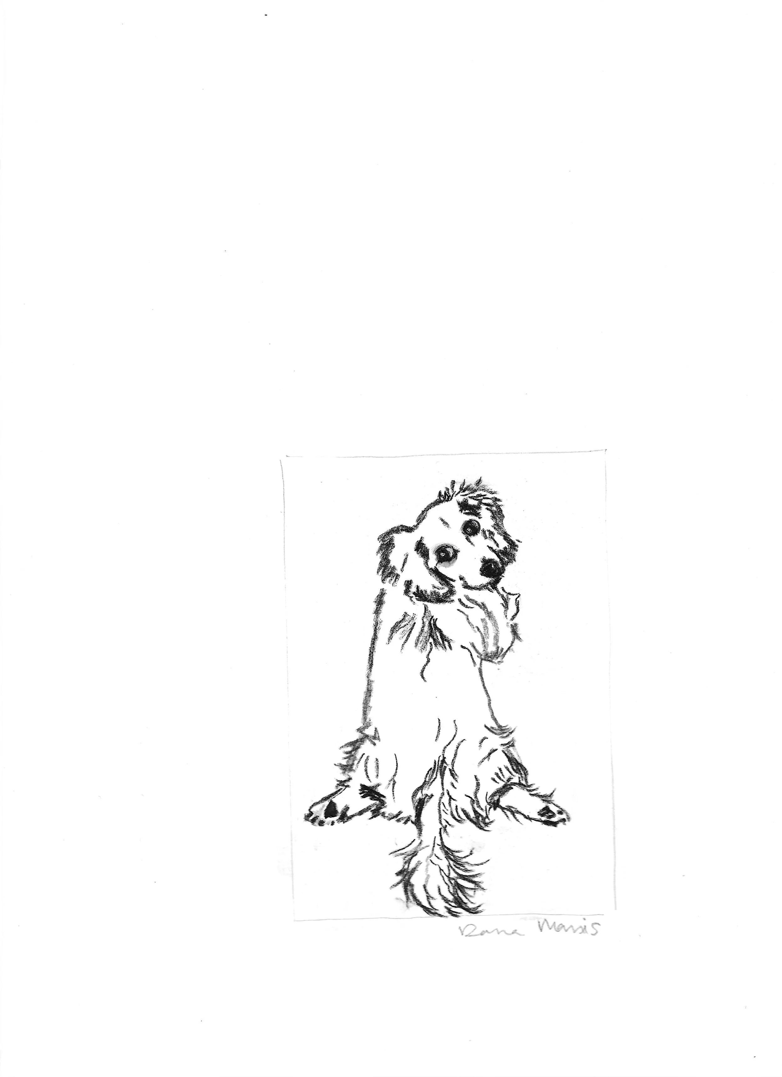 Rigby Charcoal Sketch.jpg