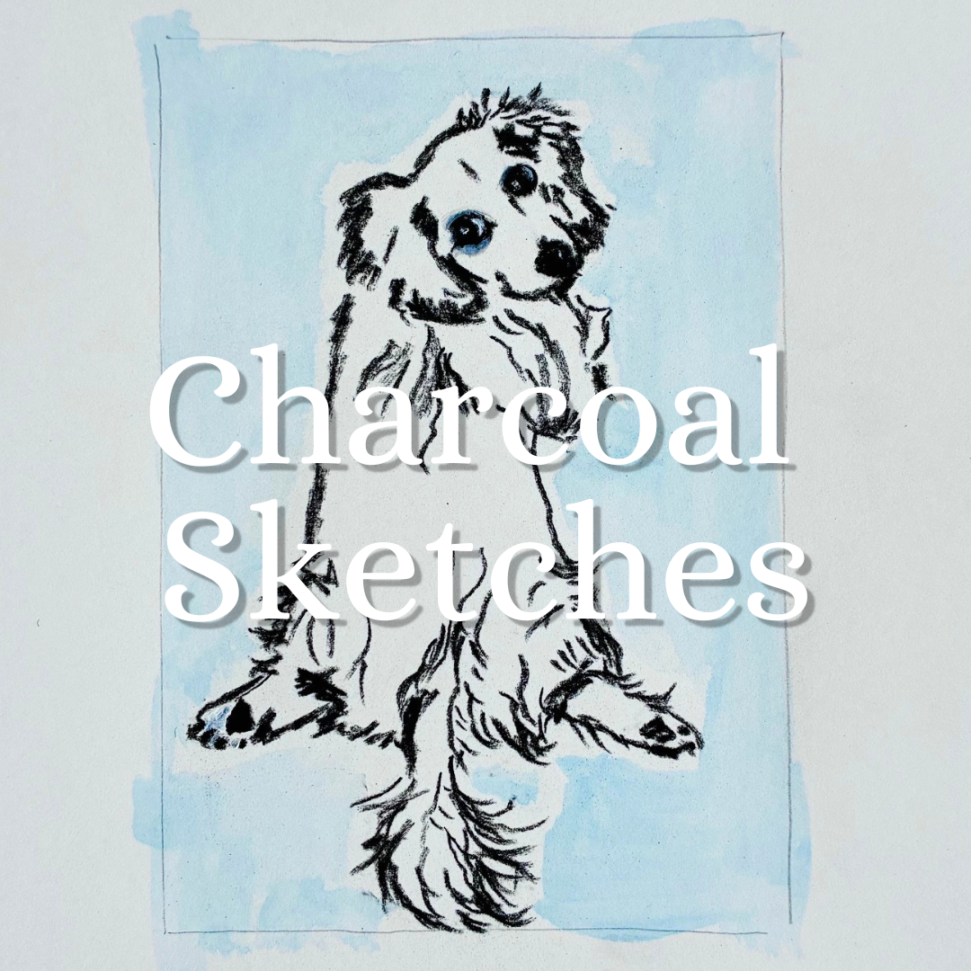 Simple Charcoal Sketches