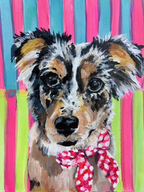 Aussie pet portrait with bright stripes