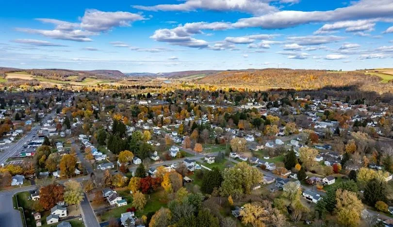 Onondaga Audubon & Lights Out CNY Urge Homer Town Board to Vote No on Lighted Billboards