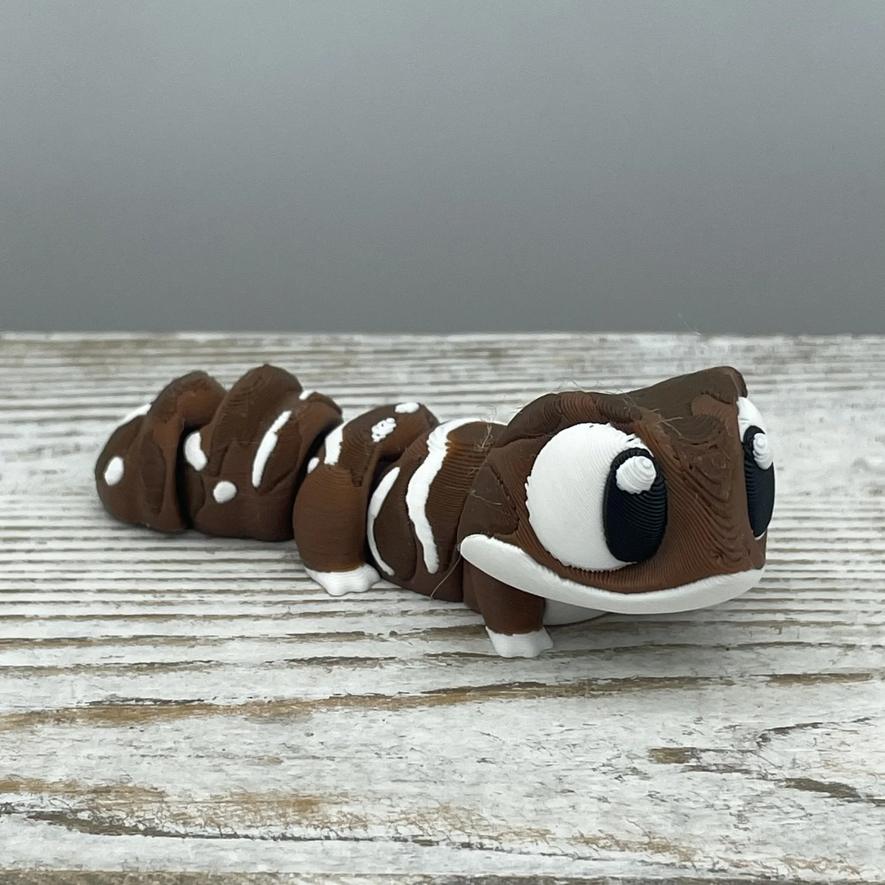 Pebble Paws the Gecko