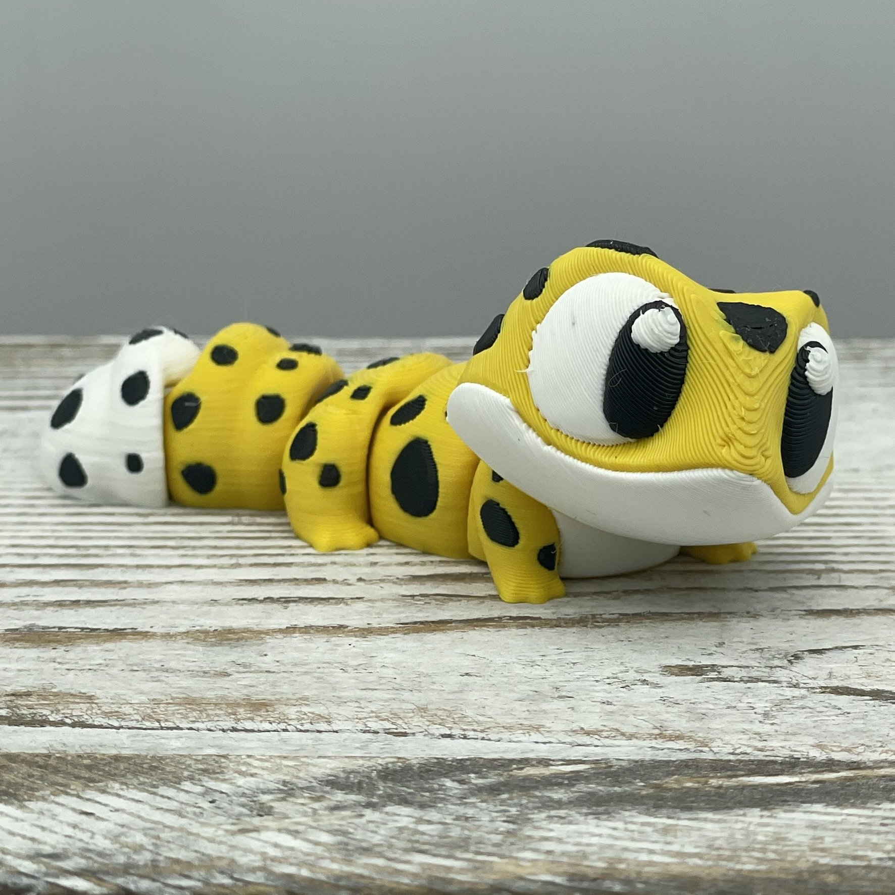 Spots Malone the Leopard Gecko