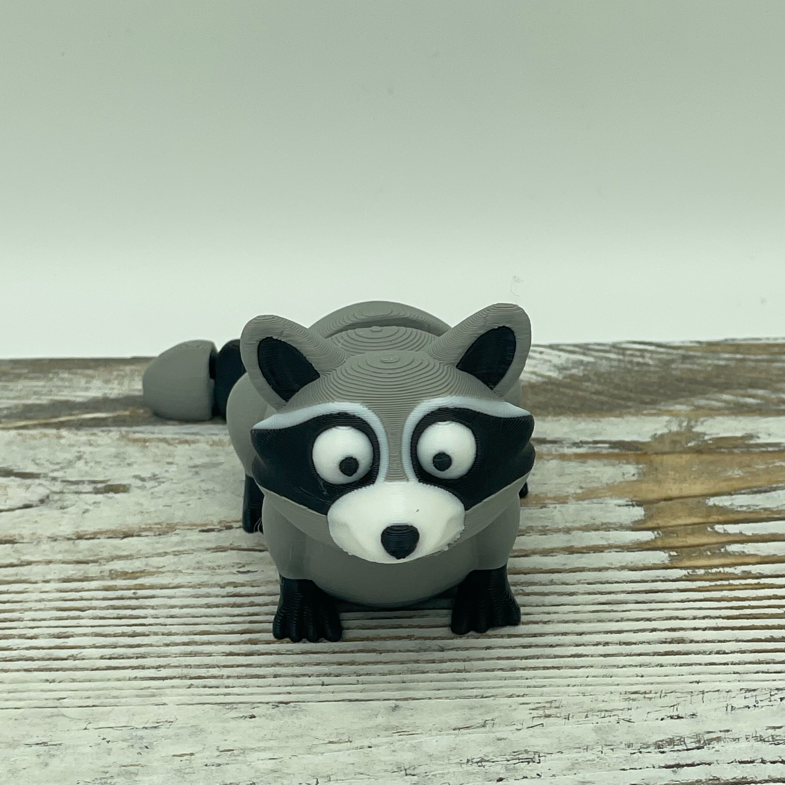 Bandit the Trash Panda