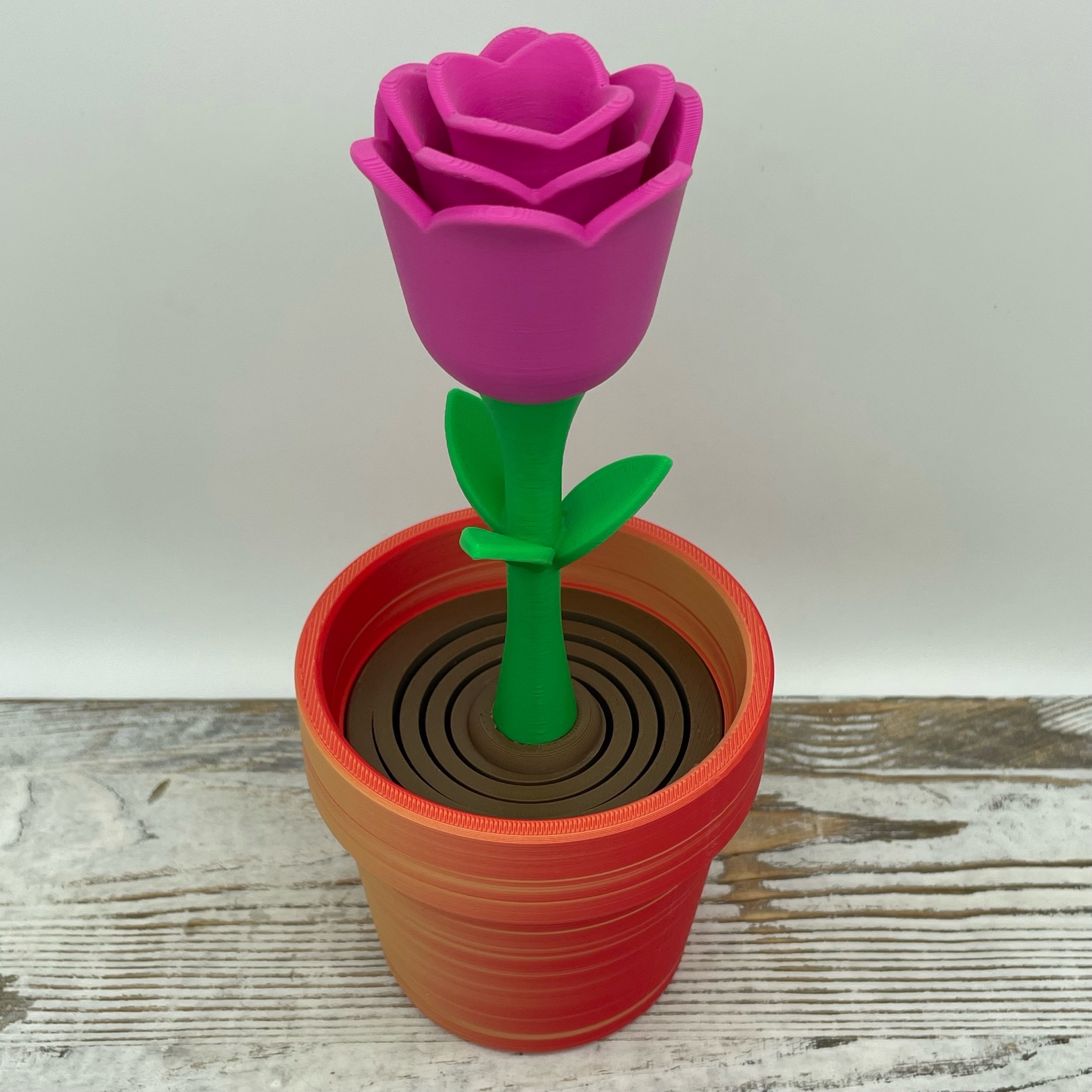 Rose Bloom Bouncer