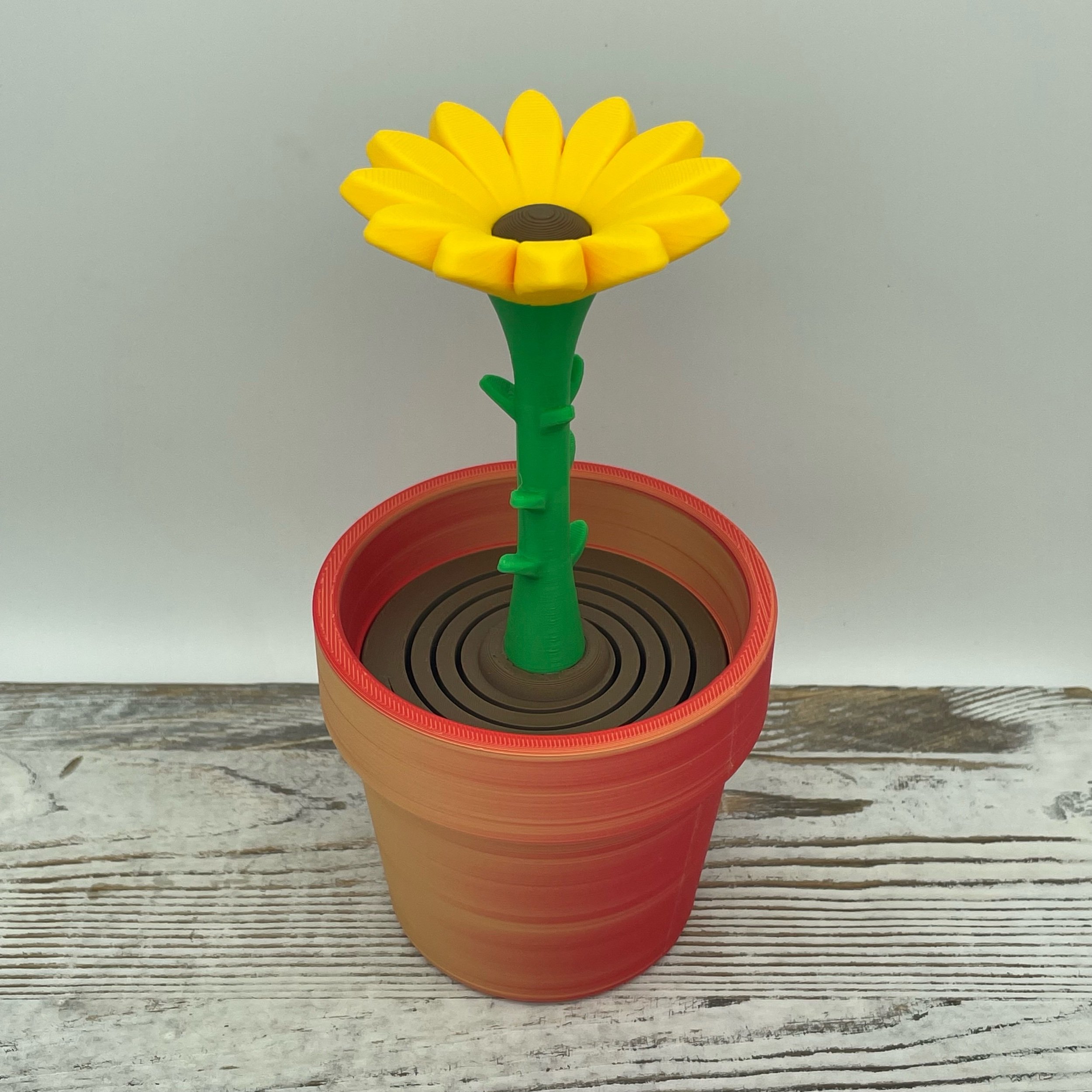 Sunflower Bloom Bouncer