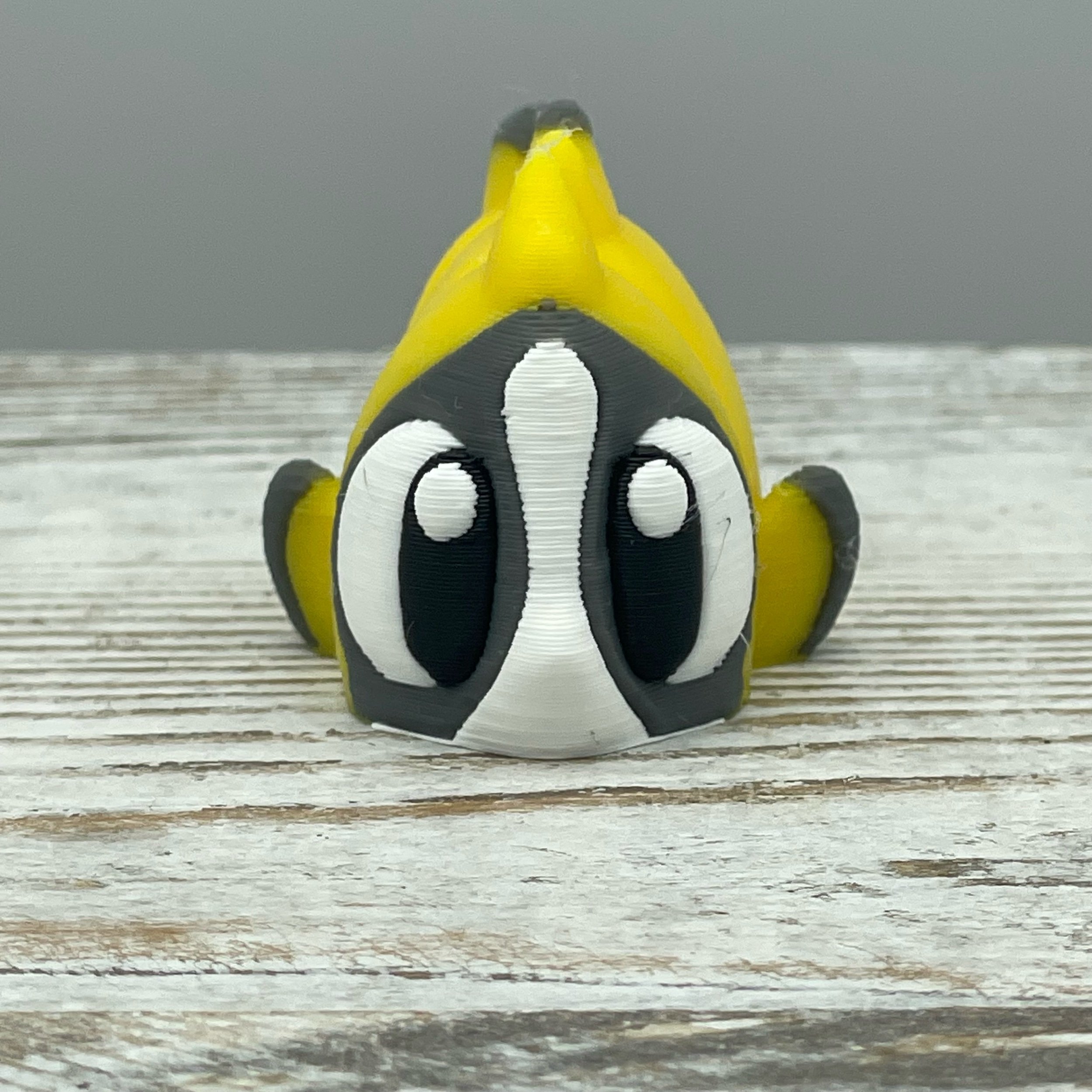 Flapjack the Butterfly Fish