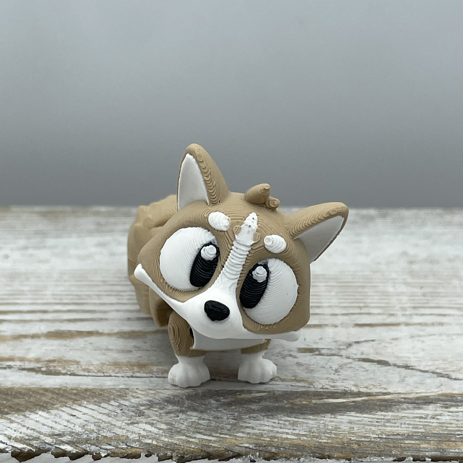 Sir Wigglebottom the Corgi