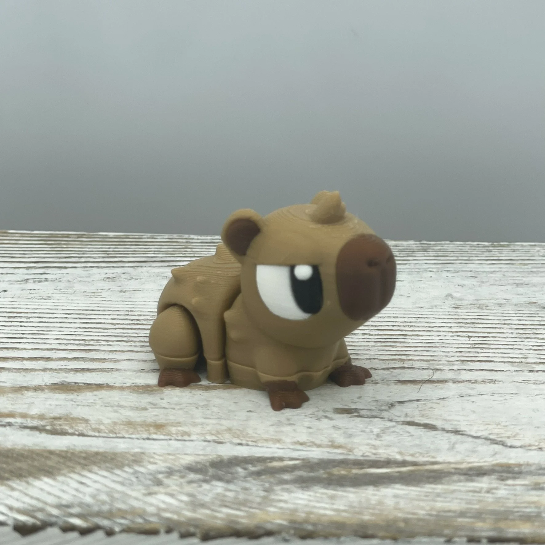 Sir Sits-a-Lot the Capybara