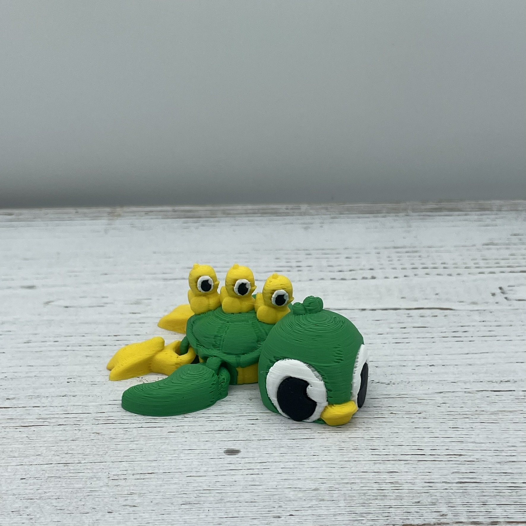 Waddles the Duck Turtle