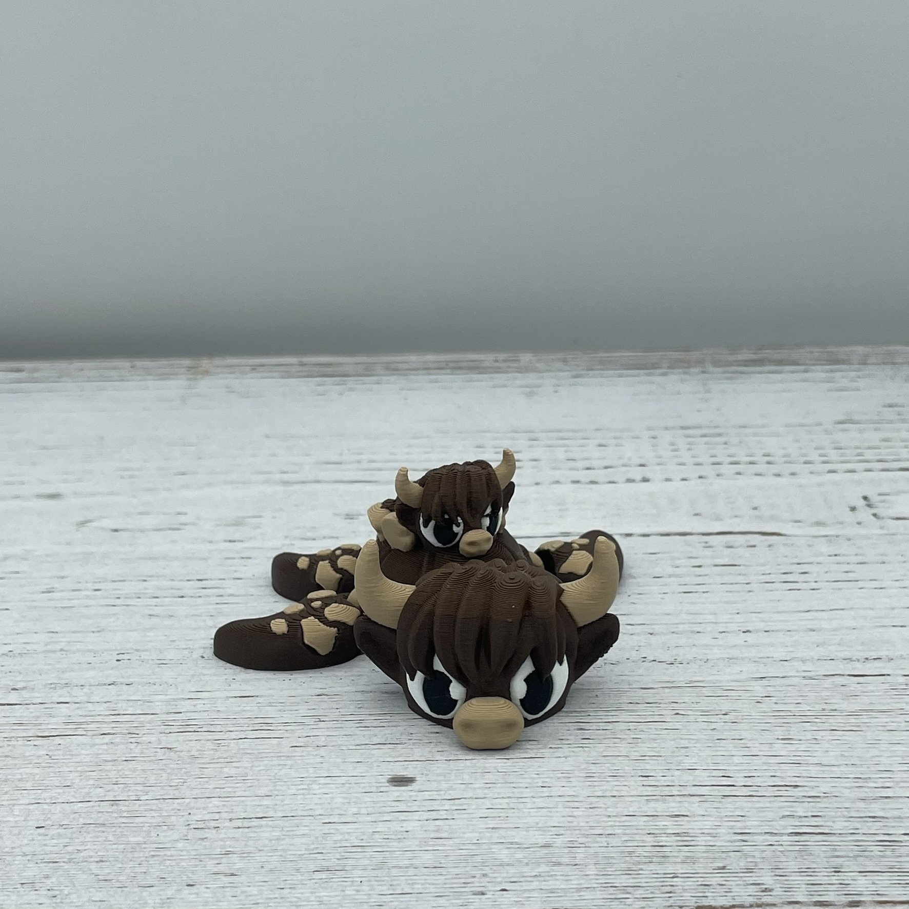 Wallace the Highland Cow Turtle