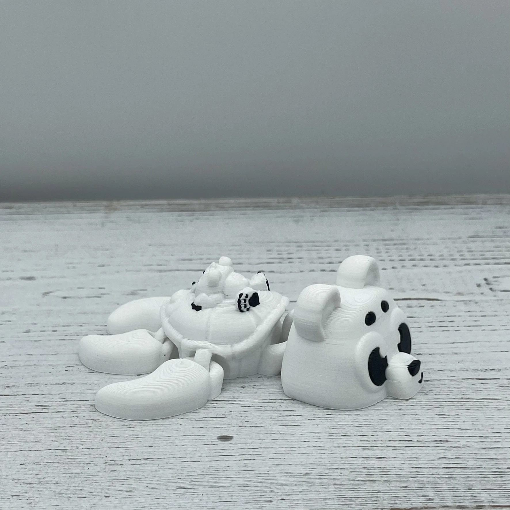 Snowball the Polar Bear Turtle