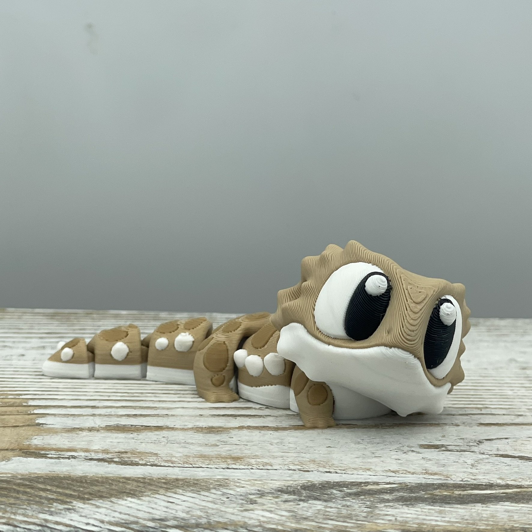 Sir Sunbask the Bearded Dragon