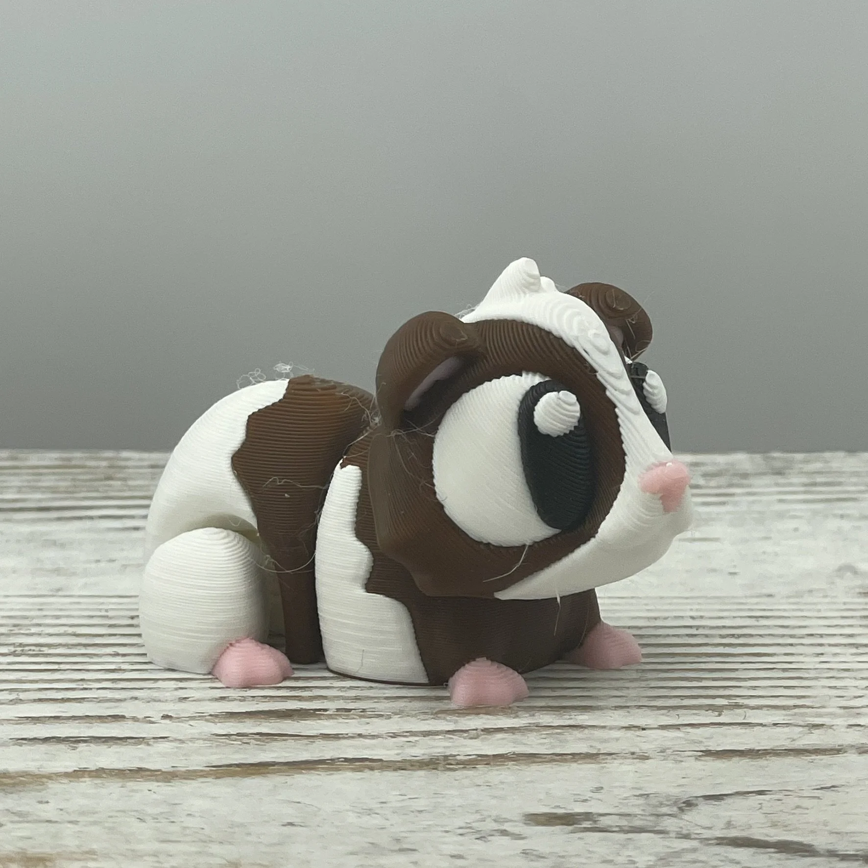 Peanut Puff the Guinea Pig