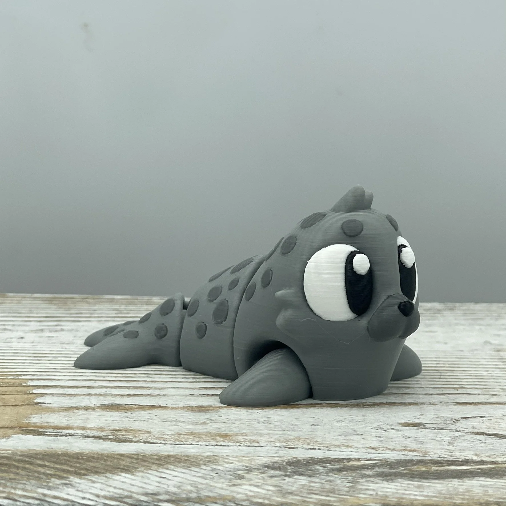 Salty Snuggles the Seal