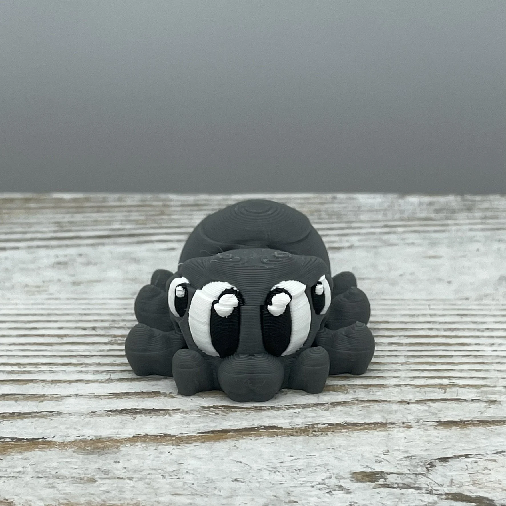 Spinderella the Spider