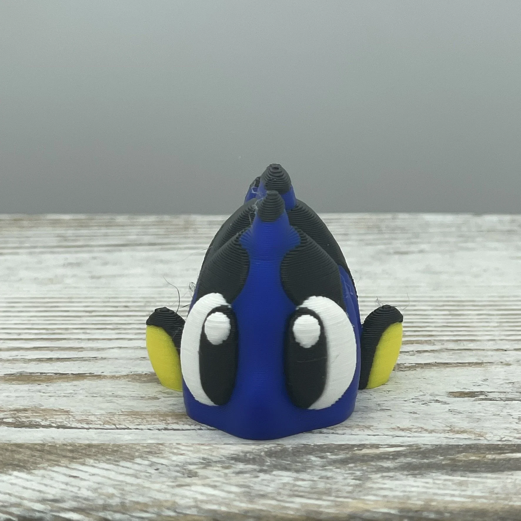 Bubbles the Blue Tang