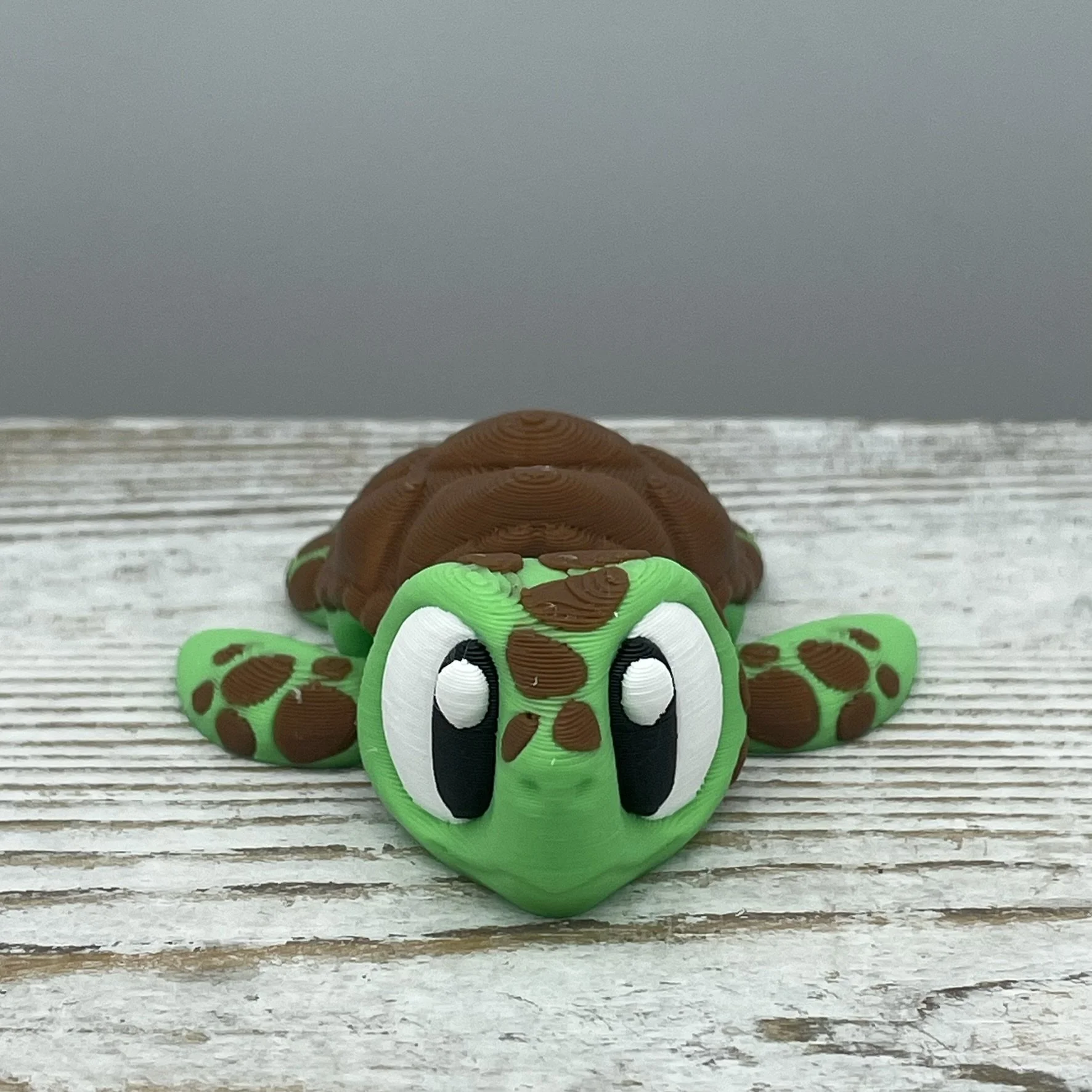 Coral Cruiser the Sea Turtle