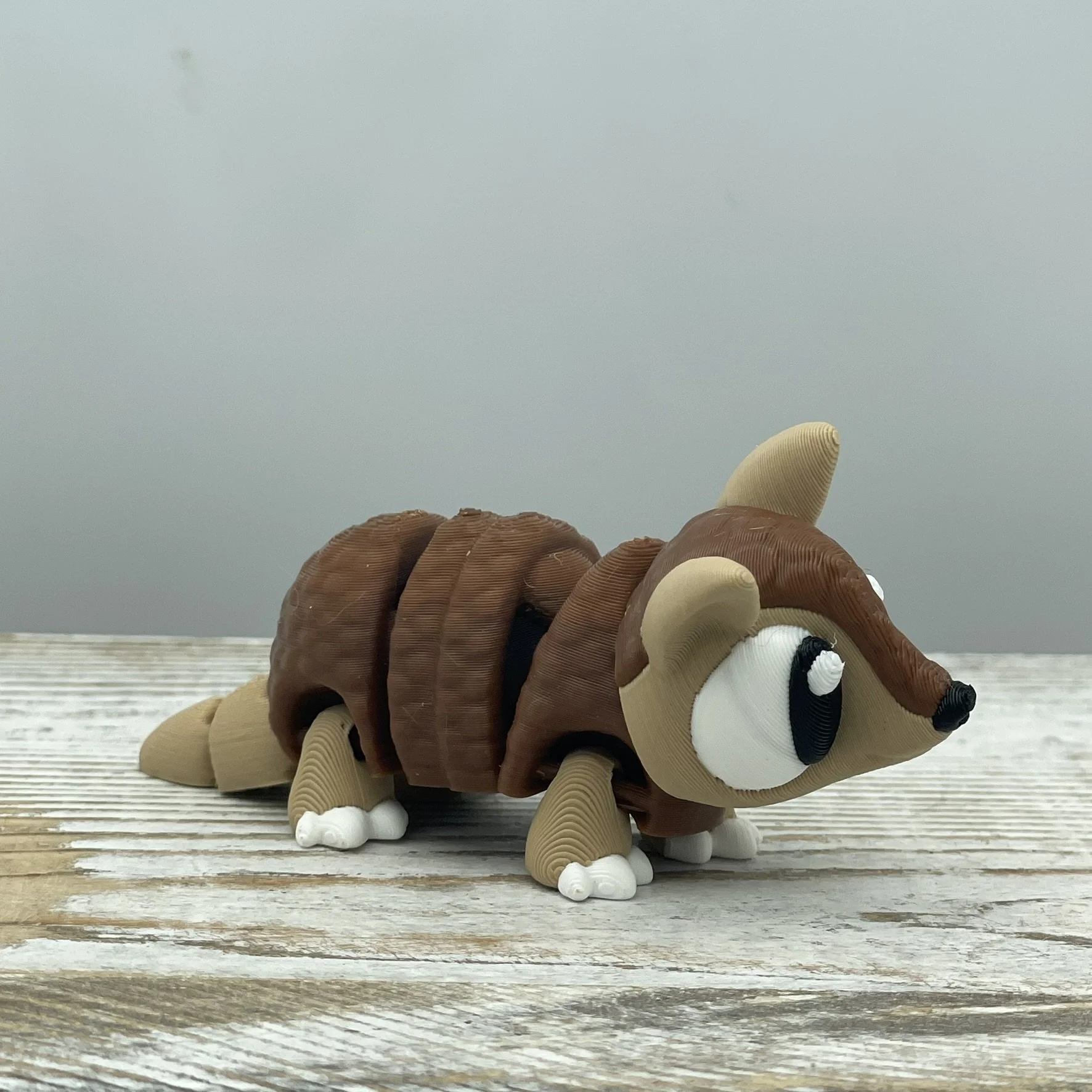 Shellby the Armadillo