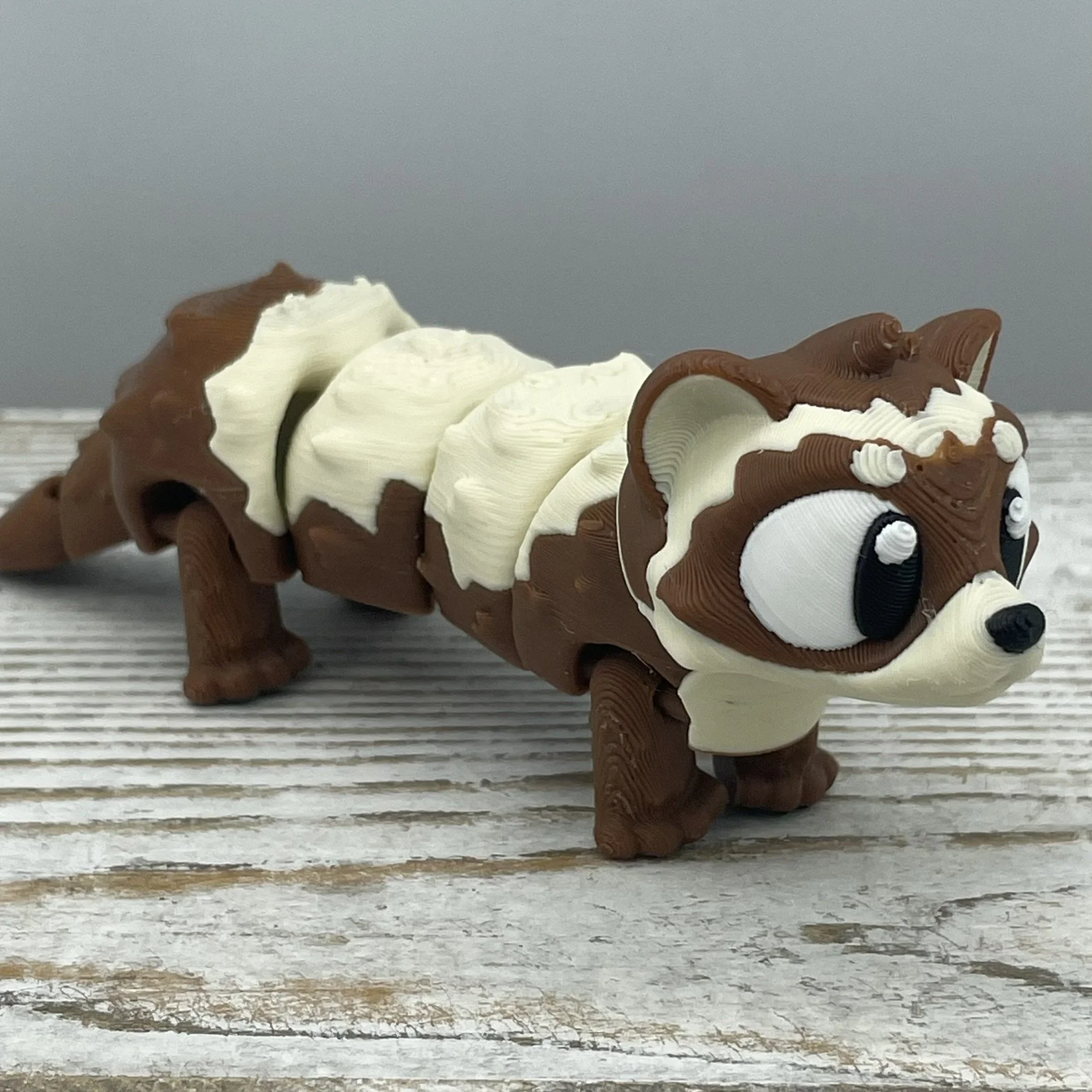 Bandit Beans the Ferret