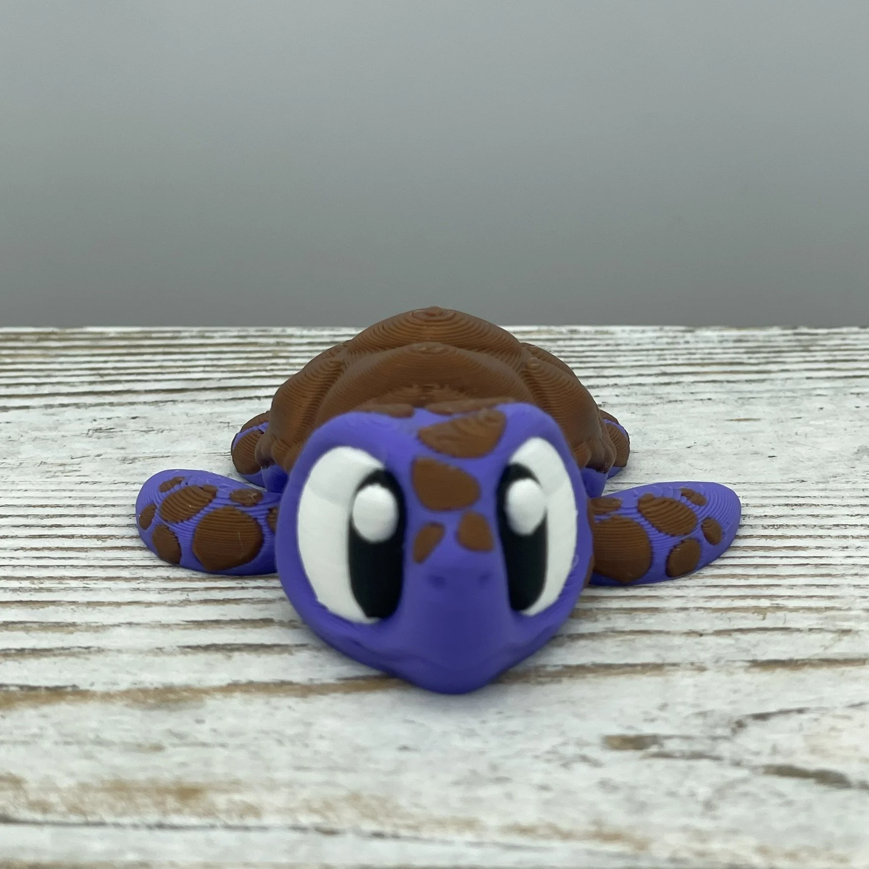 Plum Paddles the Sea Turtle