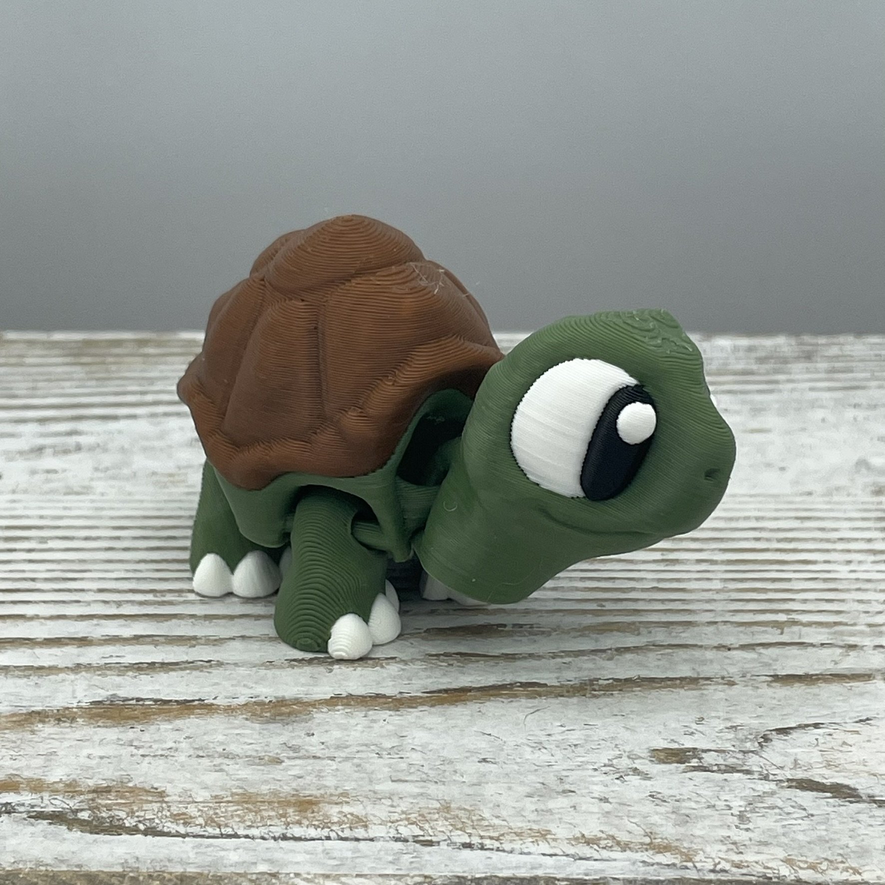 Shelby Slowpoke the Tortoise