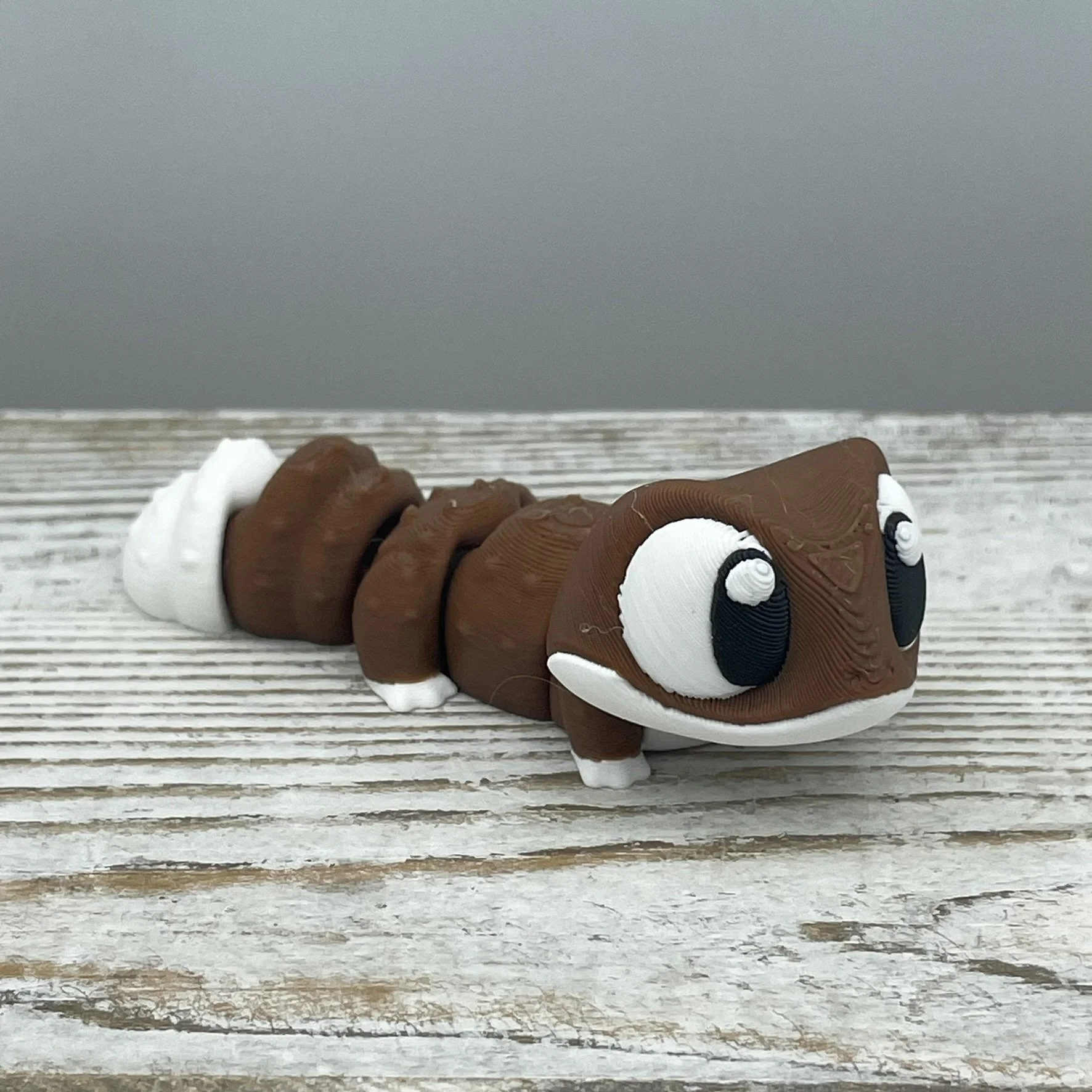 Speckle Snap the Gecko