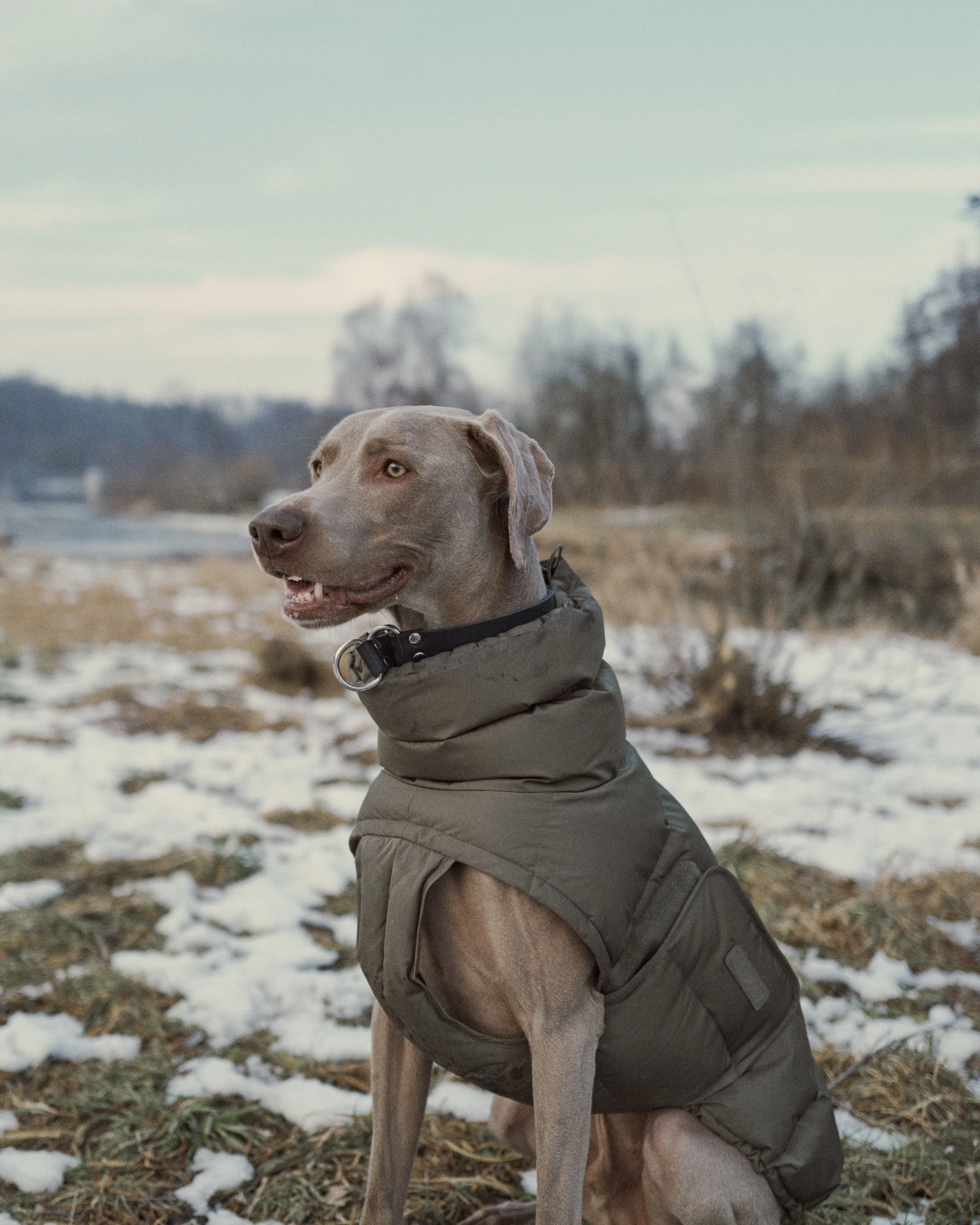 ARF1_2026-02-23 Allmend_00497.jpg