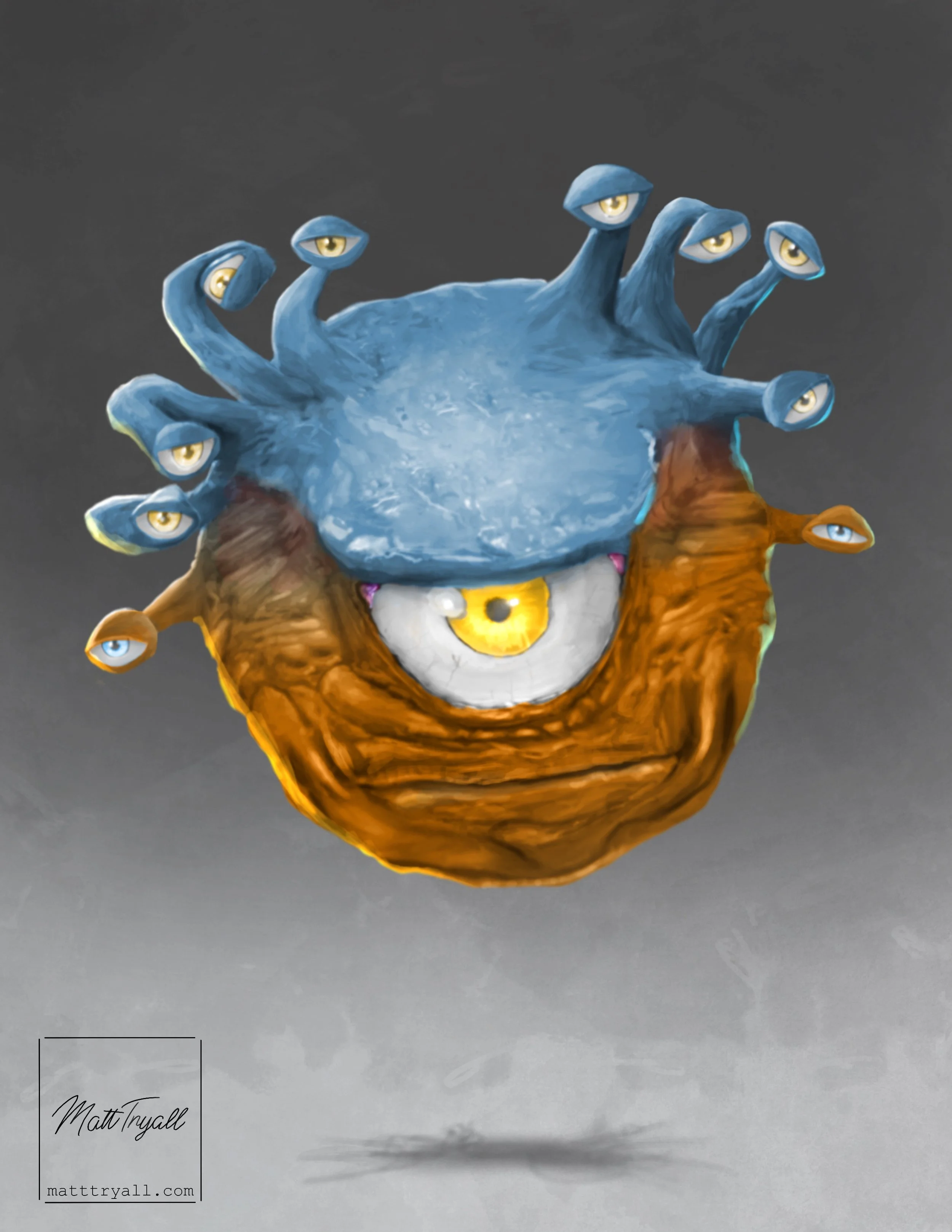 beholder_copy.JPG