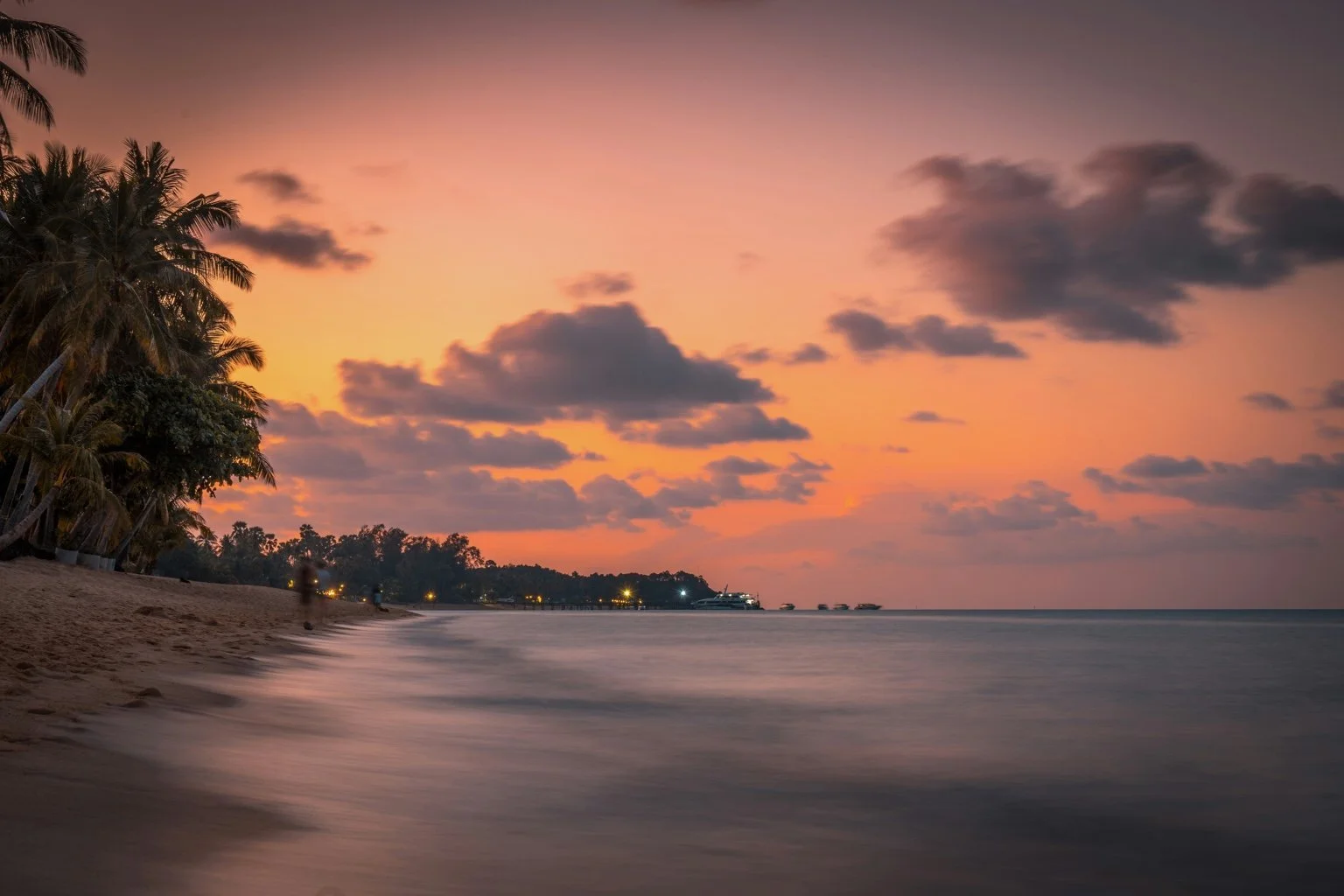 Palm-lined beach at sunset in Koh Samui, Thailand.