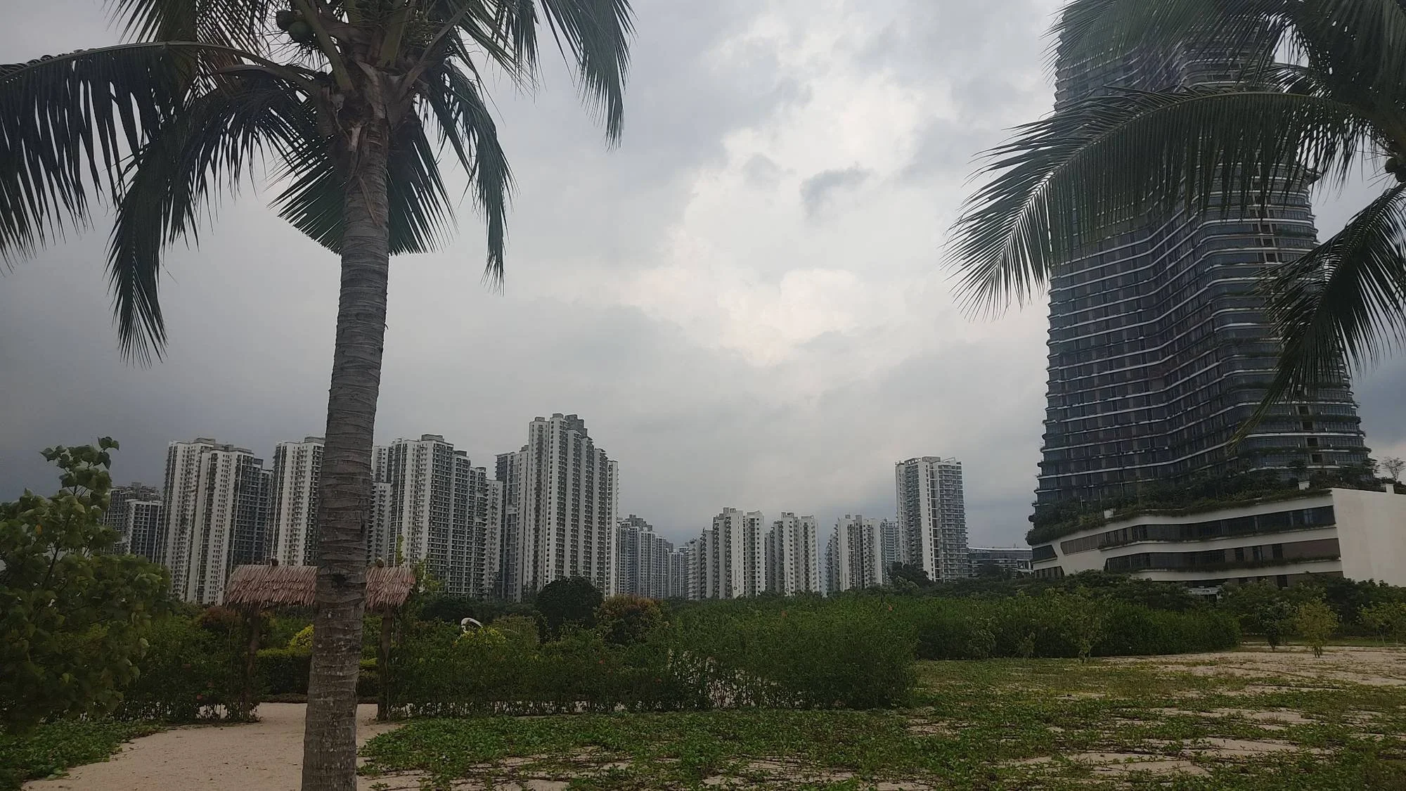 Forest City residential towers framed by palm trees in Johor, Malaysia.