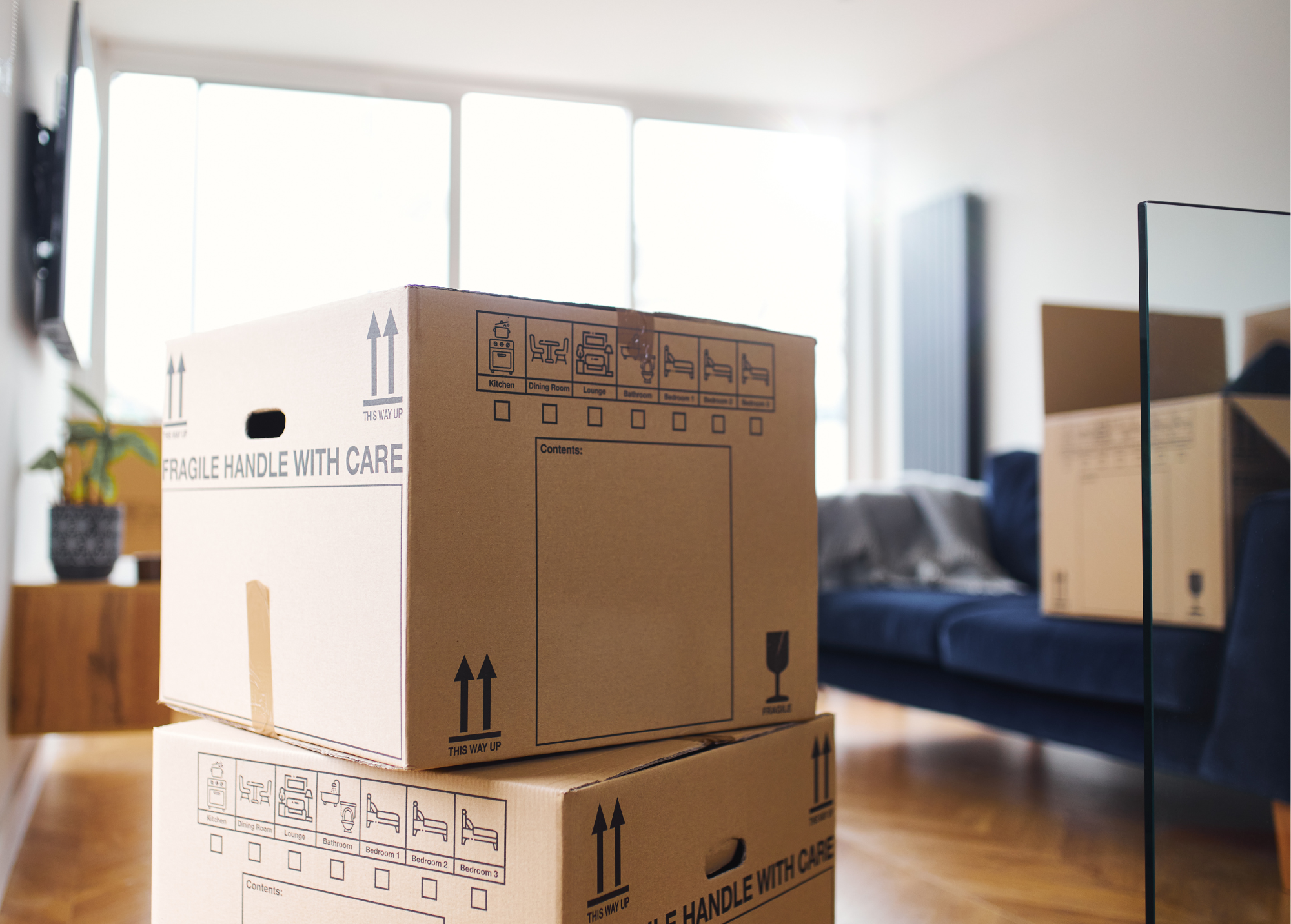 Packing and Unpacking Moving Organization