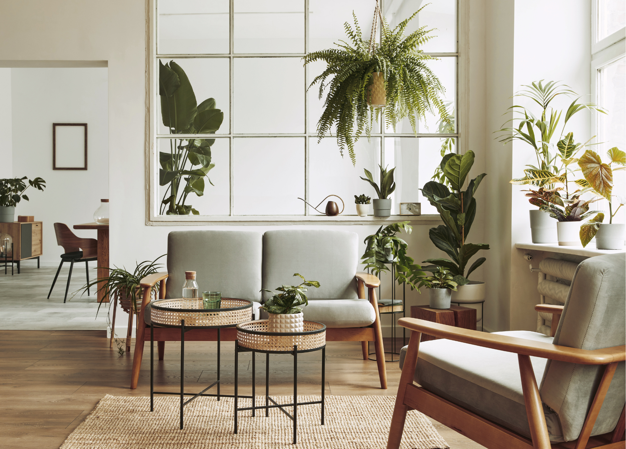 Organized Living Room with Plants