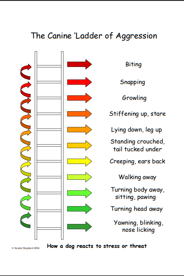 Screenshot 2025-11-13 5.52.18 PM.png