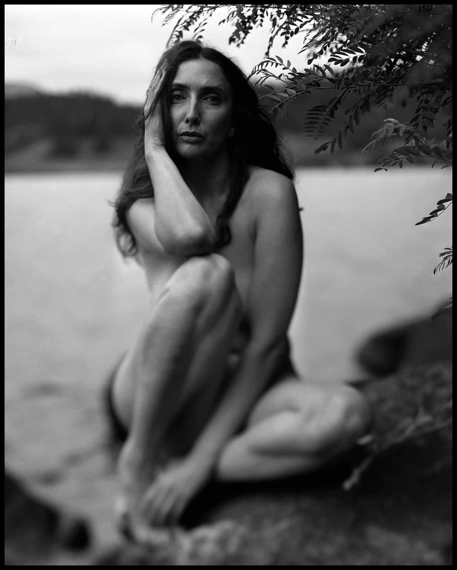 Fine art nude photographed with a Wista 45DX and Fomapan 100 4x5 black and white film.