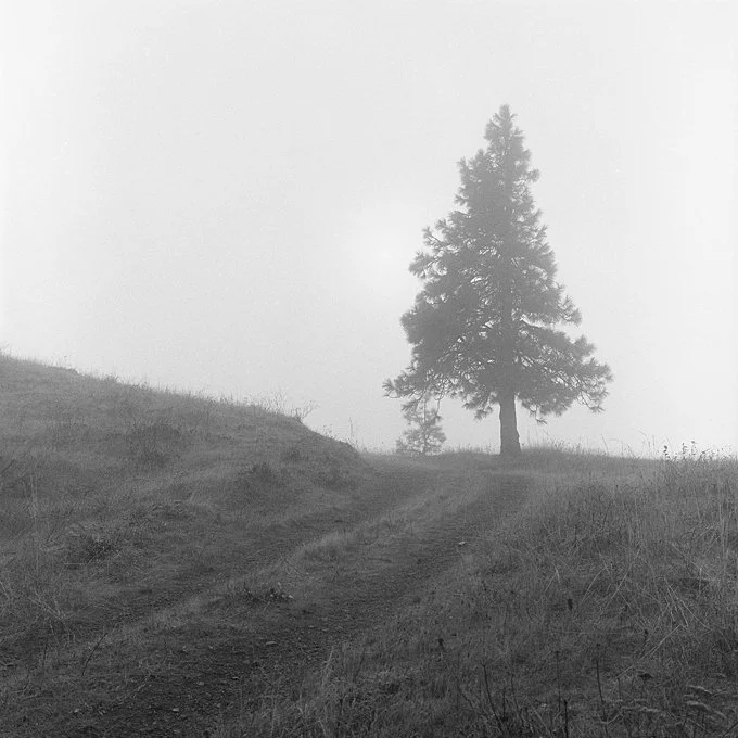 Walking the Mosier Plateau  Trail