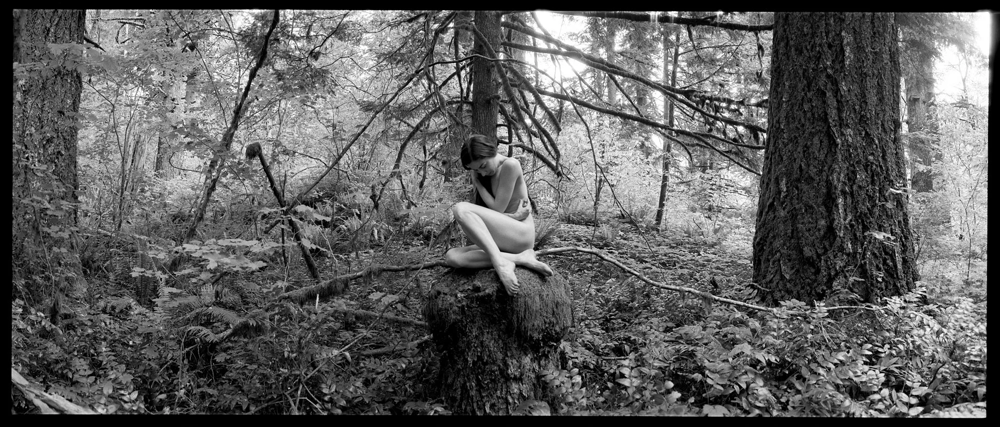 Fine art nude photographed with a Noblex 06/150 panoramic medium format camera and Kodak Tri-X 120 black and white film.
