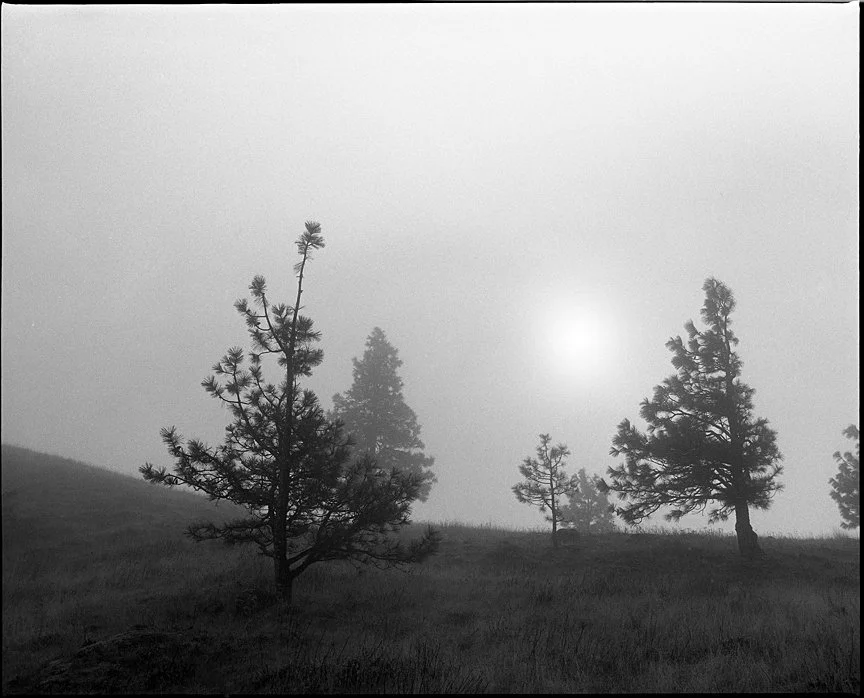 Mosier Plateau Trail photographed with a Mamiya RZ67 and Fomapan 100 black and white film.
